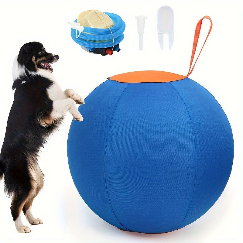 Pet Dog Toy Inflatable Big Ball, Full Set Of Dog Ball Golden Hair Bear Ball Anti-boredom Ball Dog Dog Corky Since Hi Pet Training Ball, Dog Ball, Dog Toys, Bulldog Polo, Australian Shepherd Polo