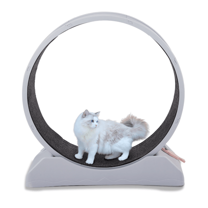 Large 80x34x85CM Grey PP Round Cat Treadmill with Soft Grey Carpet for Exercise and Fun