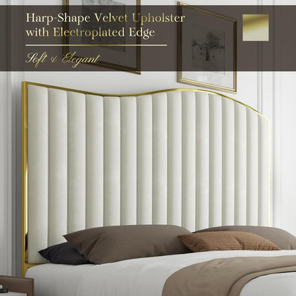 Velvet Upholstered Platform Bed with Gold Trim, 61.4" High Headboard, Footboard, and Wooden Slats - No Box Spring Necessary